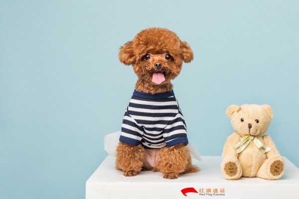 疫情期間香港商品如何轉(zhuǎn)運到河南商丘呢？