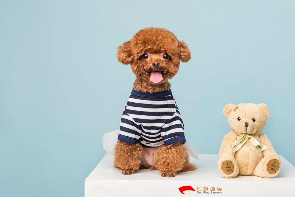 玩具香港進(jìn)口清關(guān)