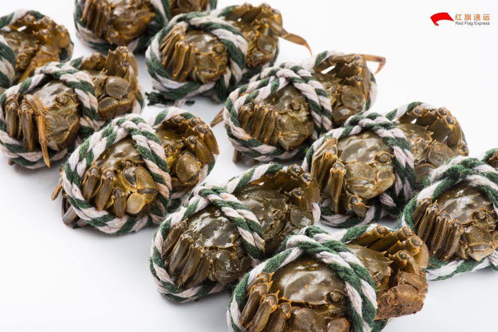 美國空運(yùn)專線